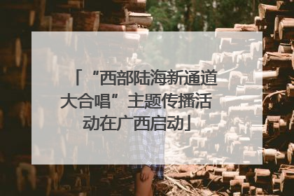 “西部陆海新通道大合唱”主题传播活动在广西启动